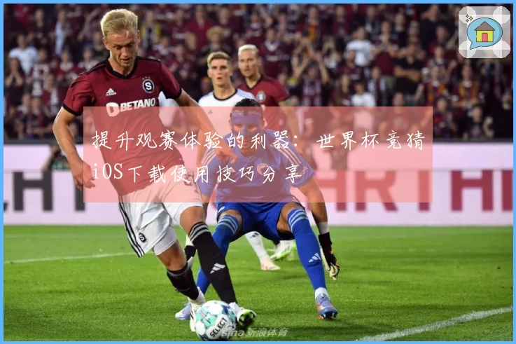 提升观赛体验的利器：世界杯竞猜iOS下载使用技巧分享
