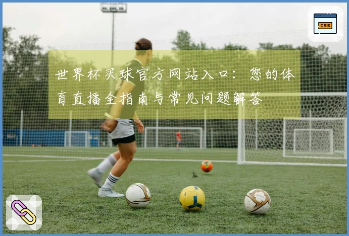世界杯买球官方网站入口：您的体育直播全指南与常见问题解答