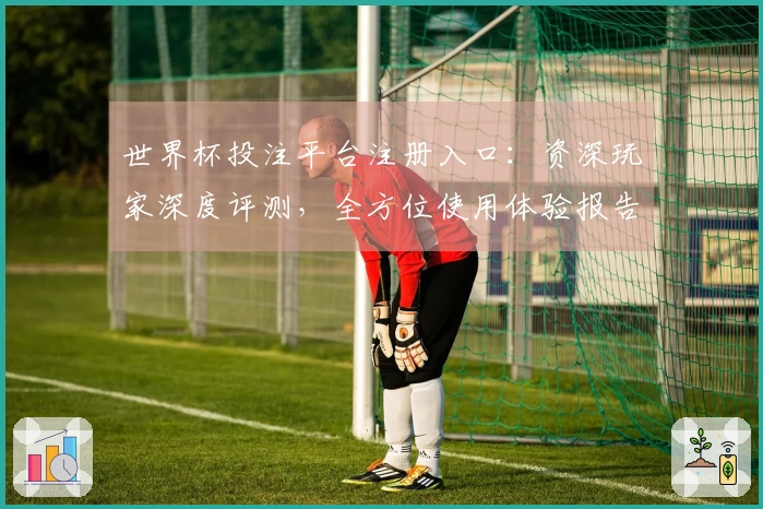 世界杯投注平台注册入口：资深玩家深度评测，全方位使用体验报告