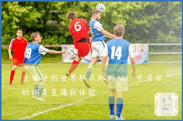 全面评测世界杯买球网址：开启你的体育直播新体验